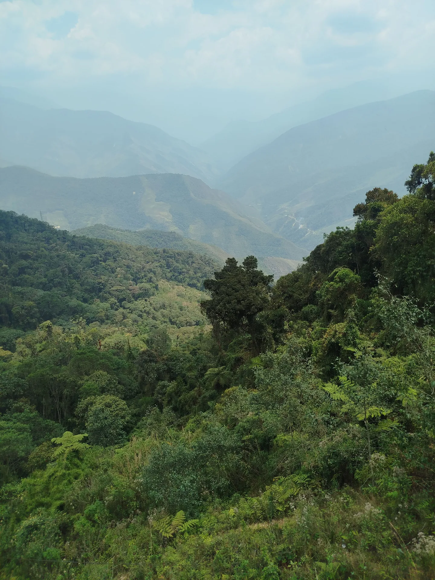 Where Amazonian Ecotourism Was Born: Memory, Journey, and Legacy