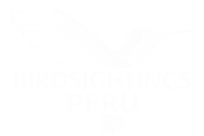 BirdSightings Peru