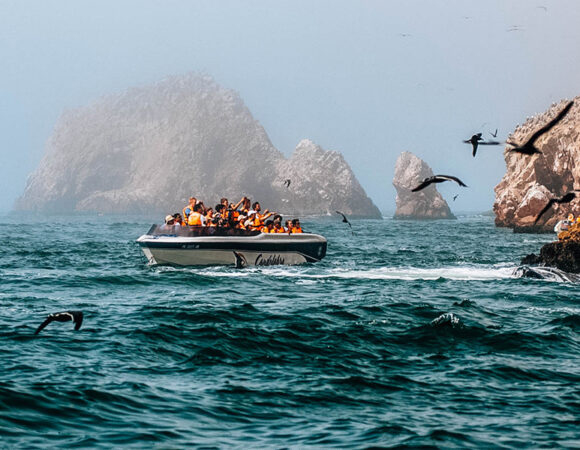 FULL DAY PARACAS – ICA