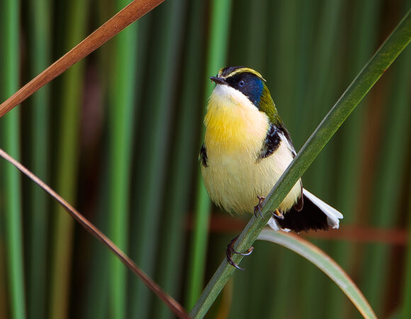 DSC_3745-Mejorado-NR