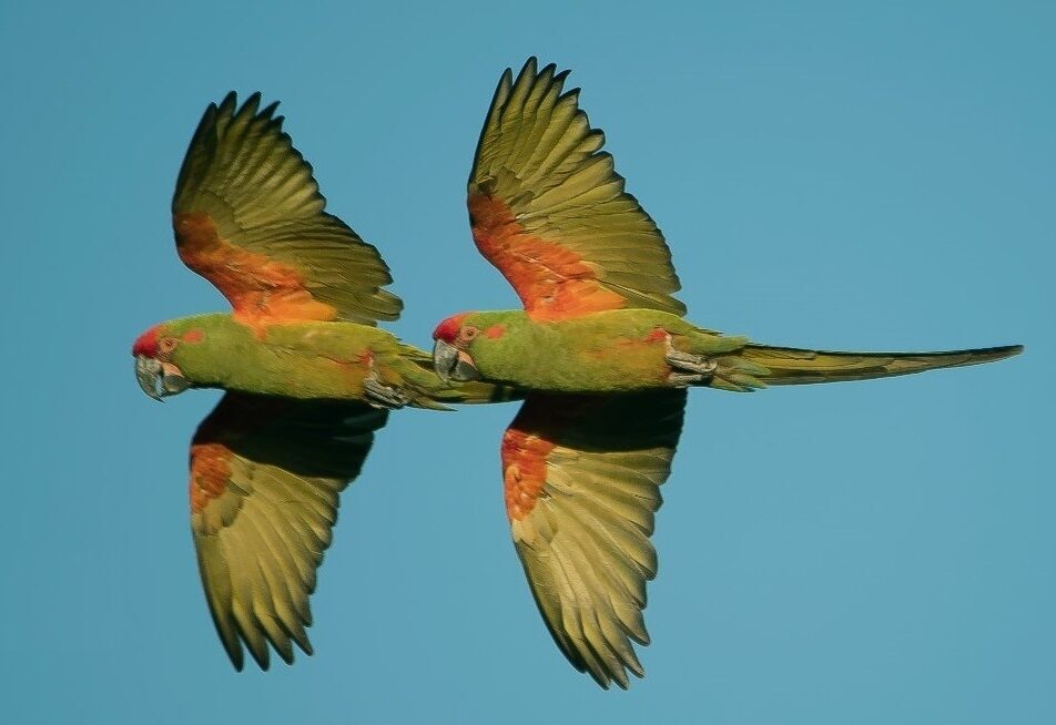 bolivia2