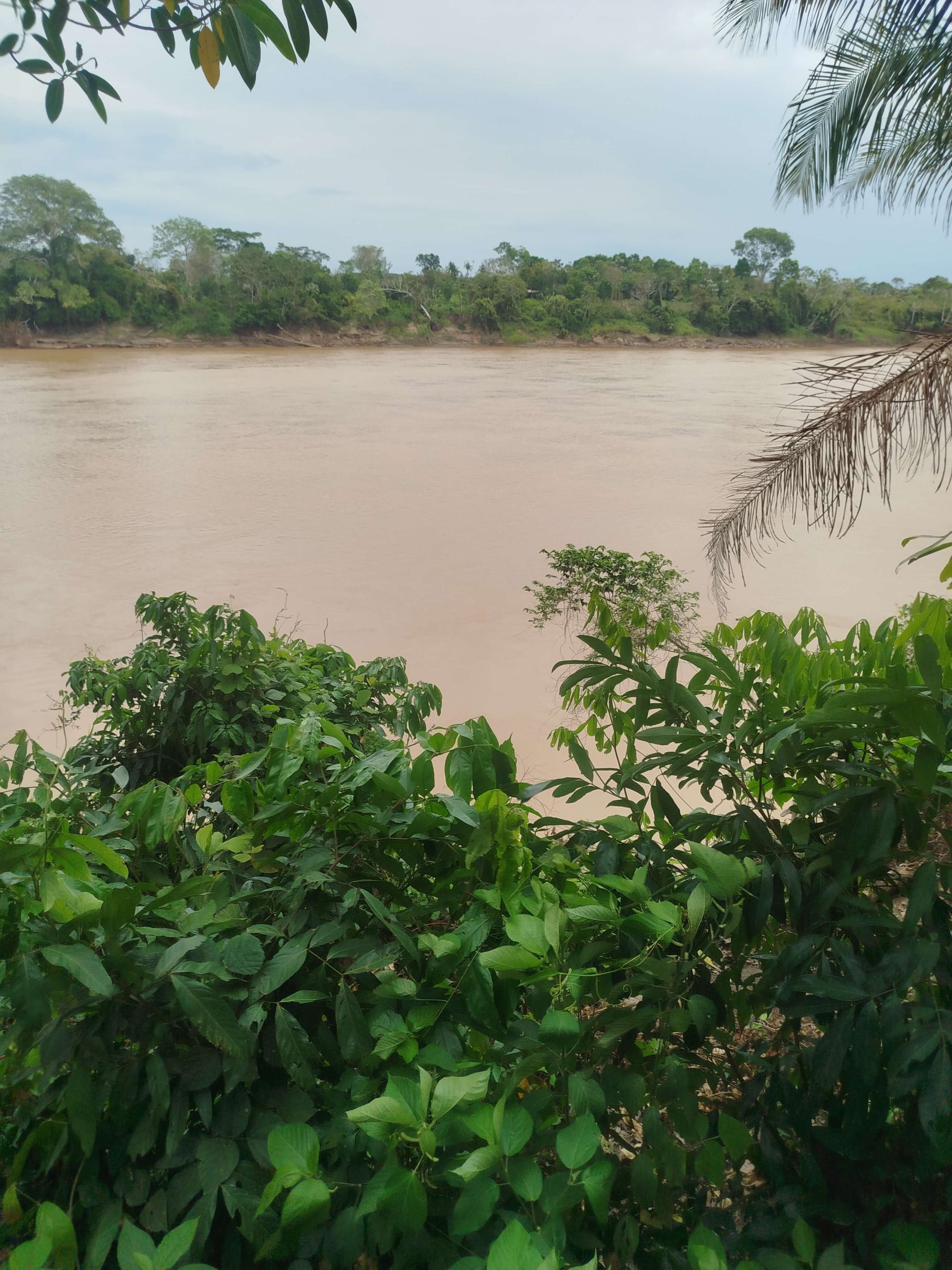 Paradise – Tambopata, a Memory That Lives On