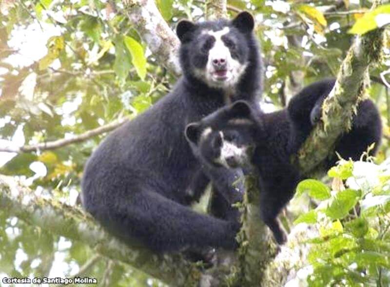 Ecotourism in Peru: Why Sustainable Travel Matters