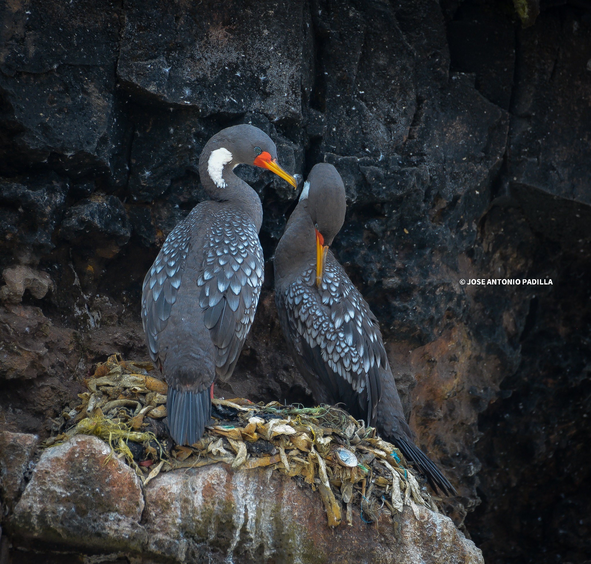 Innovation Management in Sustainable Tourism