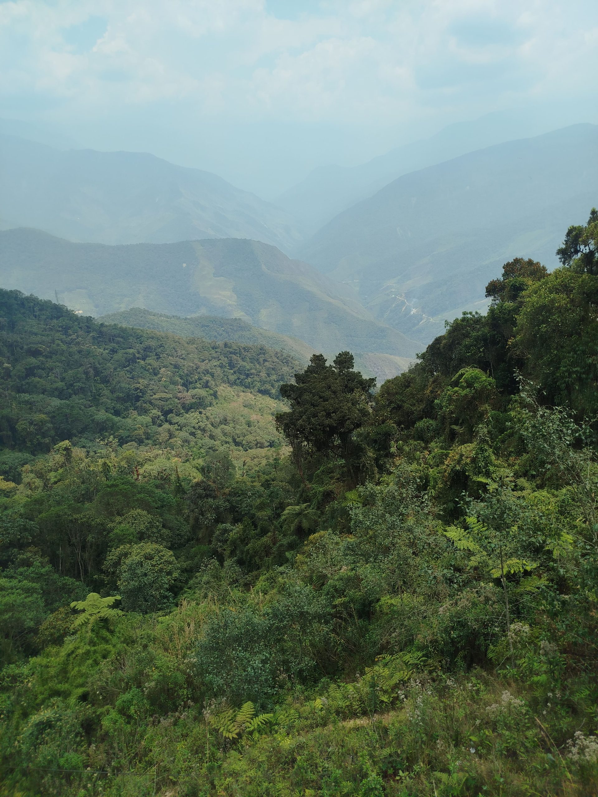 Where Amazonian Ecotourism Was Born: Memory, Journey, and Legacy